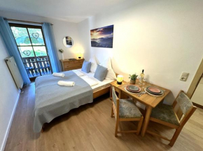 Gemütliches Apartment im Bayerwald POOL SAUNA NETFLIX